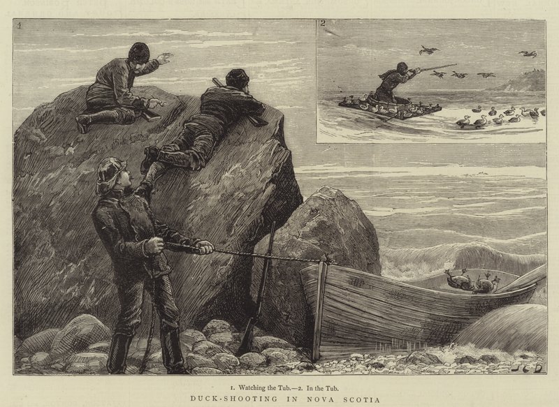 Entenjagd in Nova Scotia von John Charles Dollman