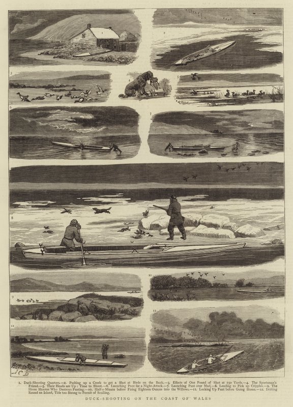 Entenjagd an der Küste von Wales von John Charles Dollman