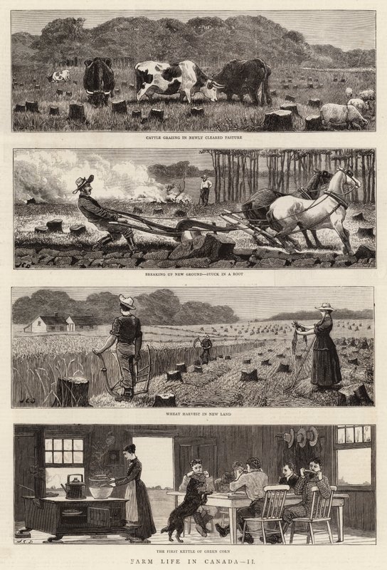 Landleben in Kanada, II von John Charles Dollman
