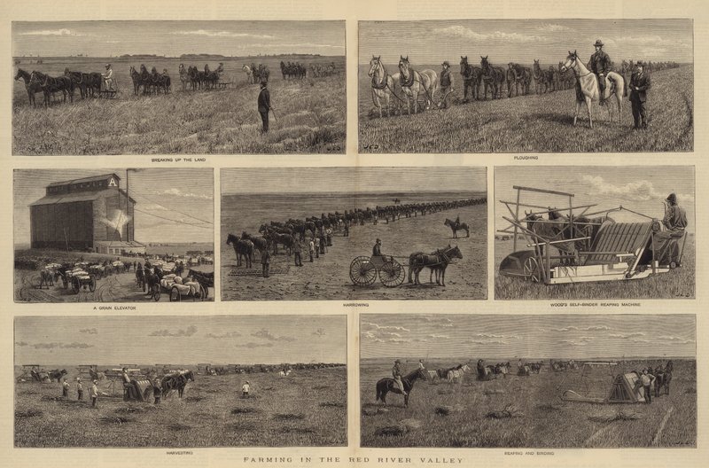 Landwirtschaft im Red River Valley von John Charles Dollman