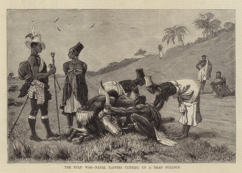 Der Zulukrieg, Natal-Kaffern zerlegen einen toten Ochsen von John Charles Dollman