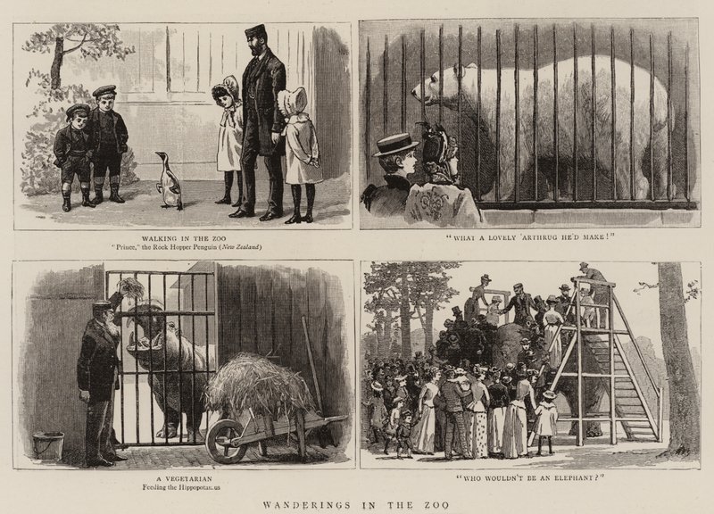 Wanderungen im Zoo von John Charles Dollman