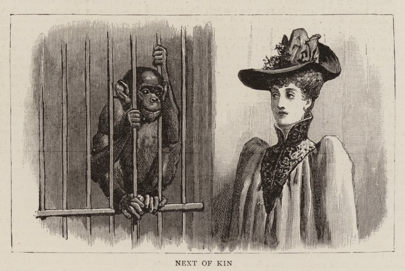 Wanderungen im Zoo von John Charles Dollman