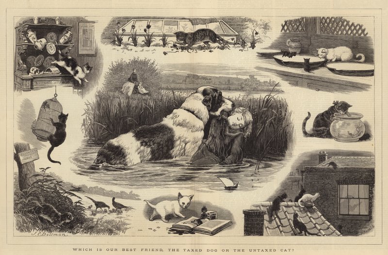 Wer ist unser bester Freund, der besteuerte Hund oder die unbesteuerte Katze von John Charles Dollman