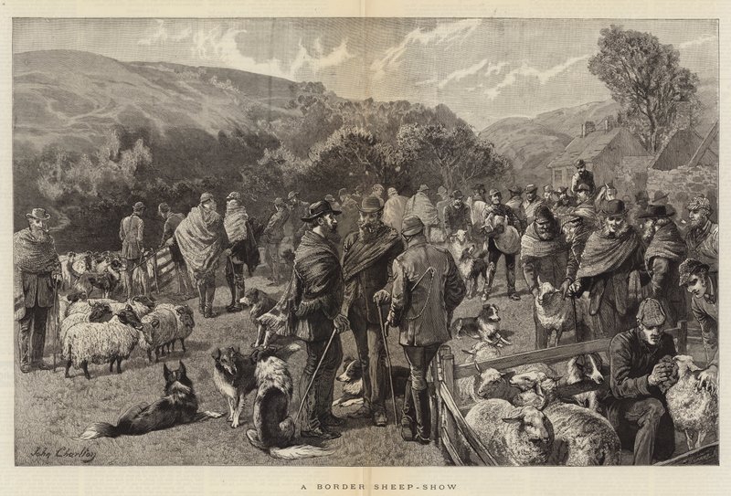 Eine Grenzschafschau von John Charlton
