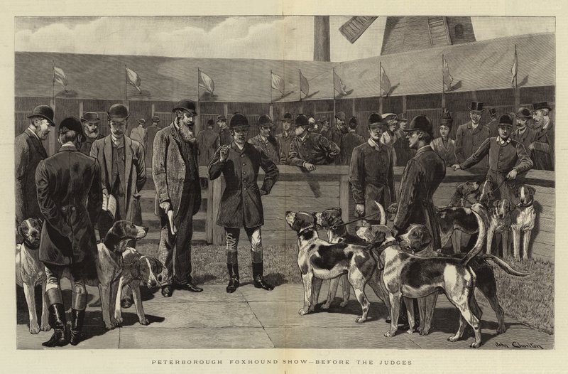 Peterborough Foxhound Show, vor den Richtern von John Charlton