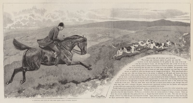 Die Jagd auf den wilden Rothirsch auf Exmoor von John Charlton