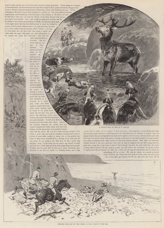 Die Jagd auf den wilden Rothirsch auf Exmoor von John Charlton