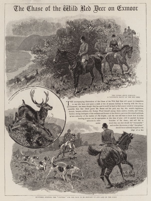 Die Jagd auf den wilden Rothirsch auf Exmoor von John Charlton