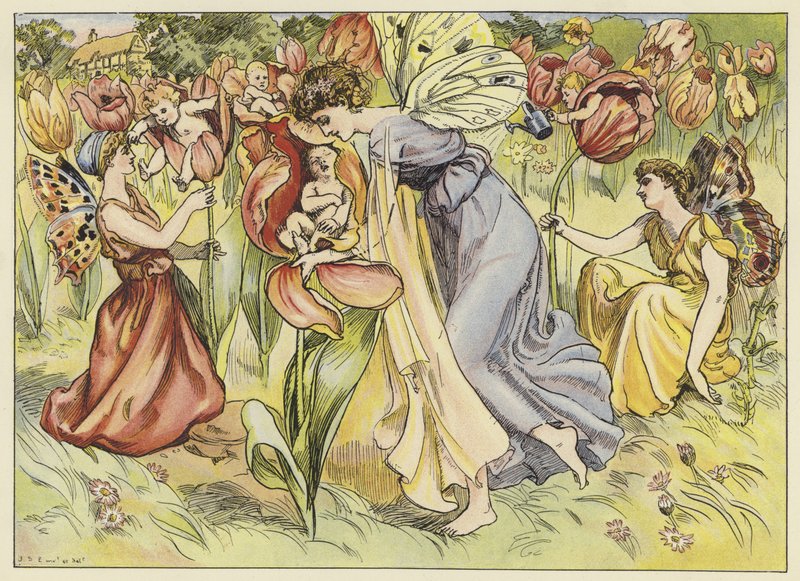 Die Tulpe von John Shenton Eland