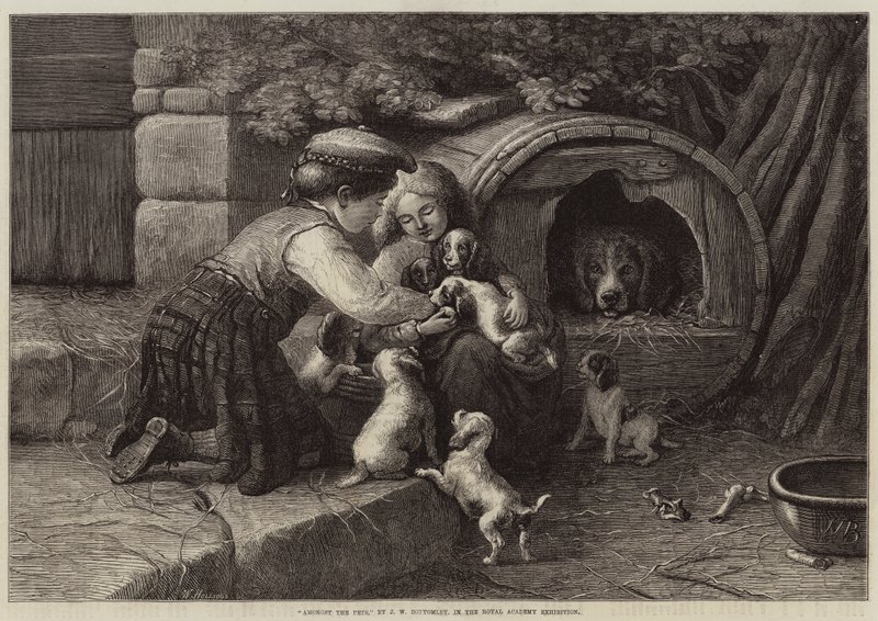 Unter den Haustieren von John William Bottomley