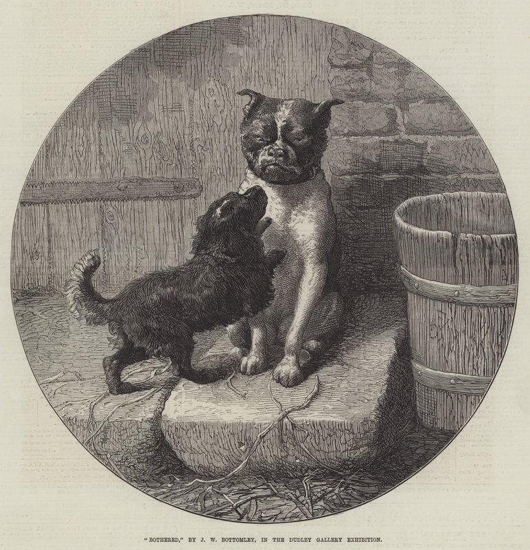 Genervt von John William Bottomley