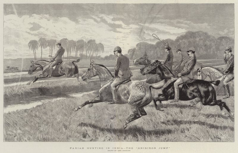 Pariah-Jagd in Indien, der Grillensprung von John Charlton