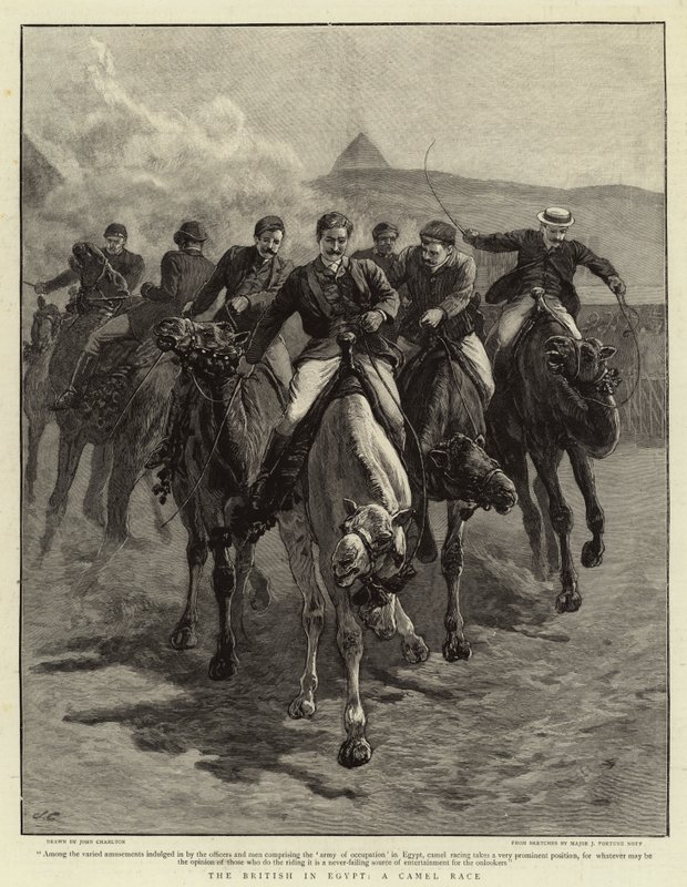 Die Briten in Ägypten, ein Kamelrennen von John Charlton
