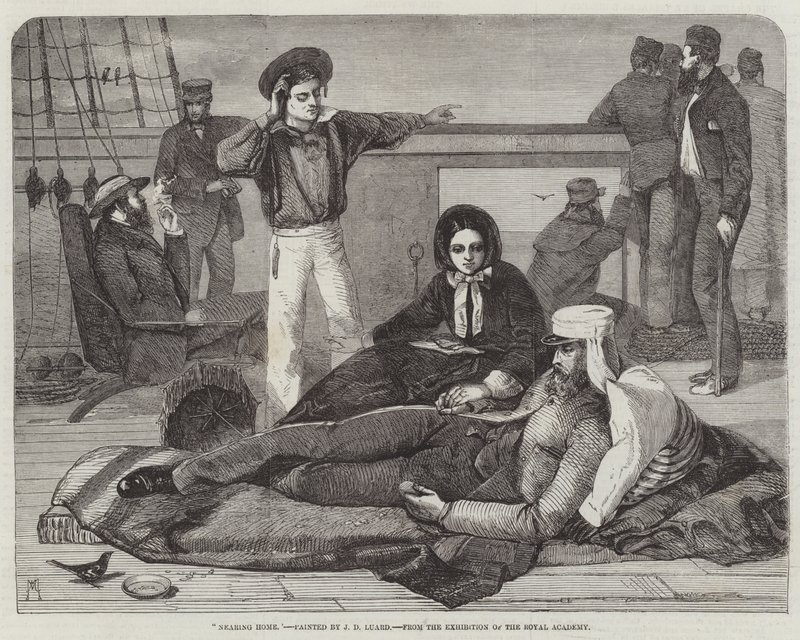 Nach Hause kommen von John Dalbiac Luard
