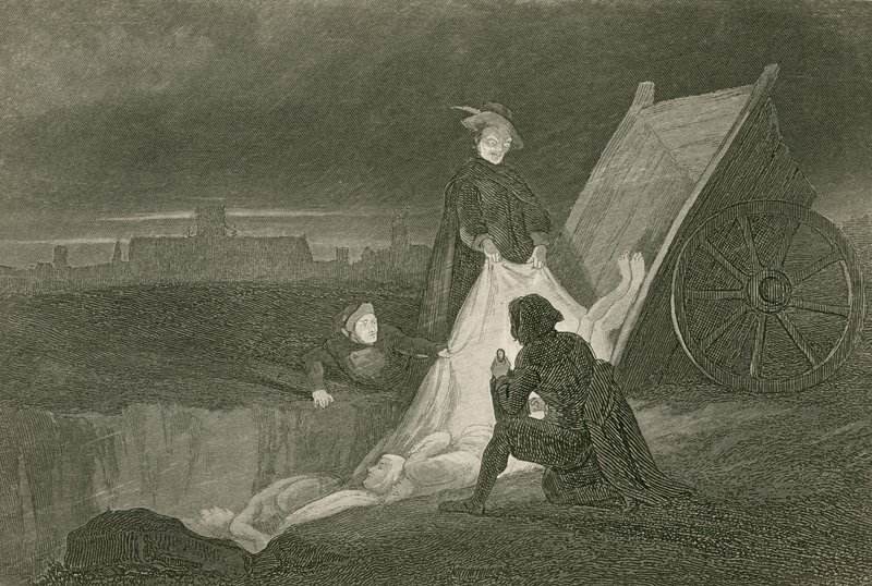 Die Pestgrube von John Franklin
