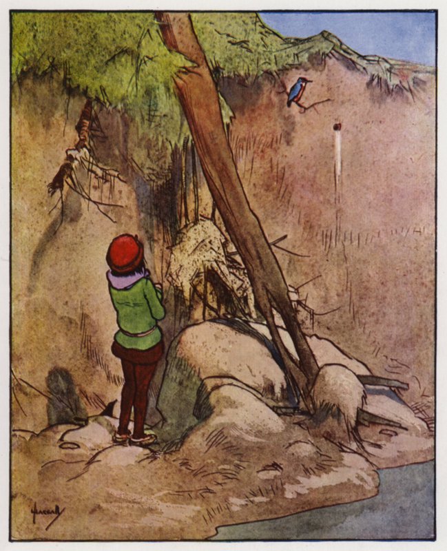 Der Eisvogel von John Hassall