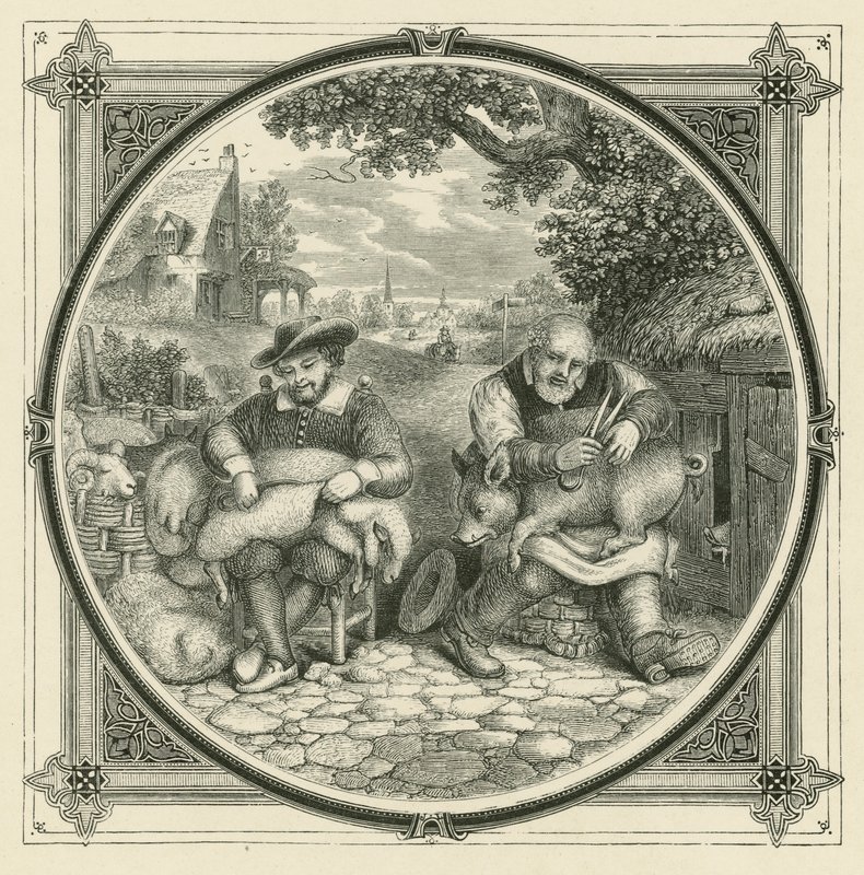Großer Schrei und wenig Wolle von John Leighton