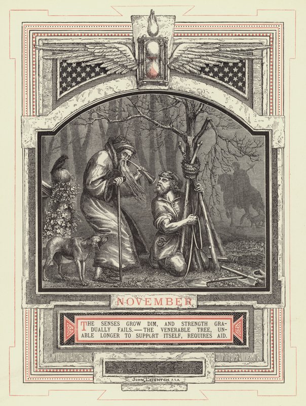 November von John Leighton