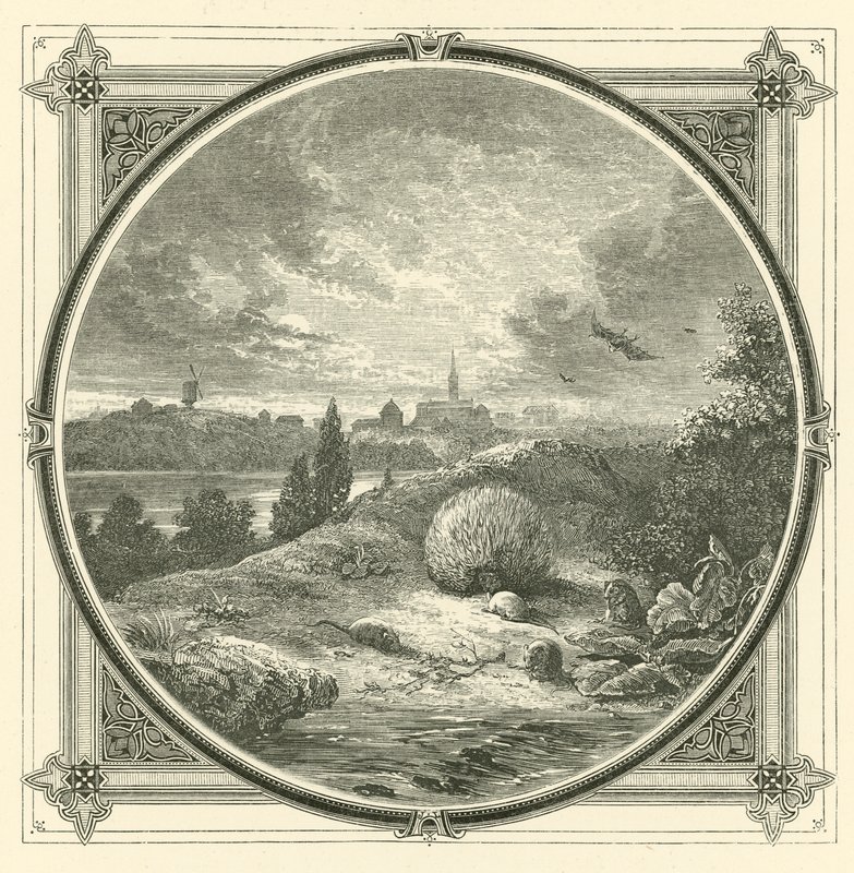 Spiele, aber keusch von John Leighton