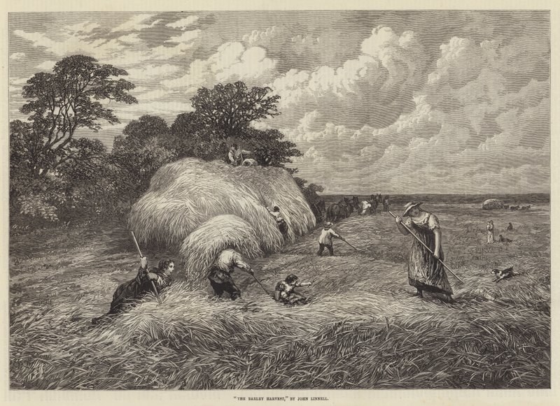 Die Gerstenernte von John Linnell