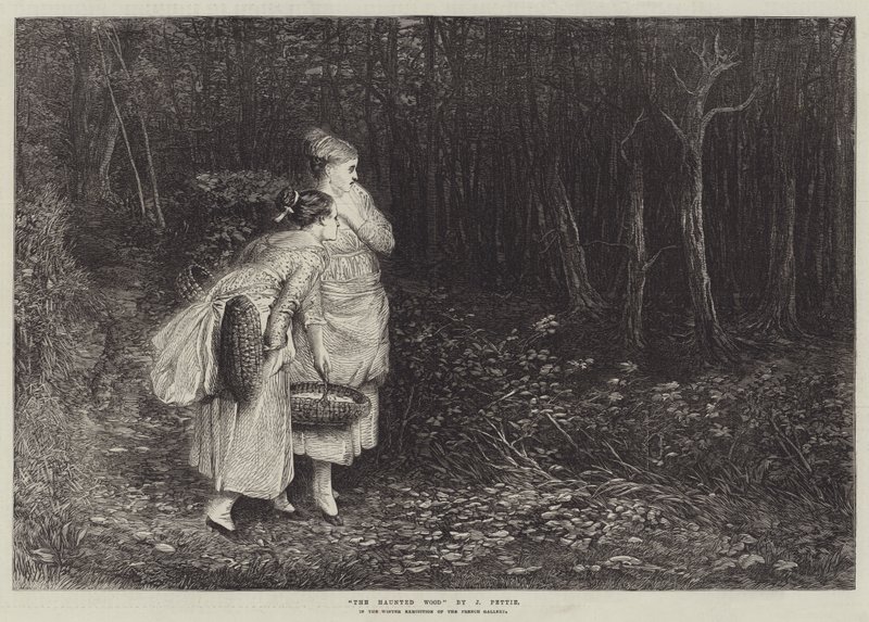 Der verfluchte Wald von John Pettie