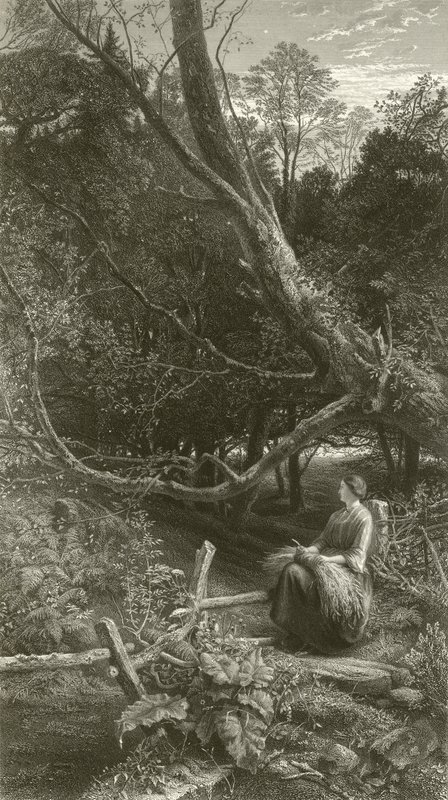 Dämmerung im Wald von John Samuel Raven