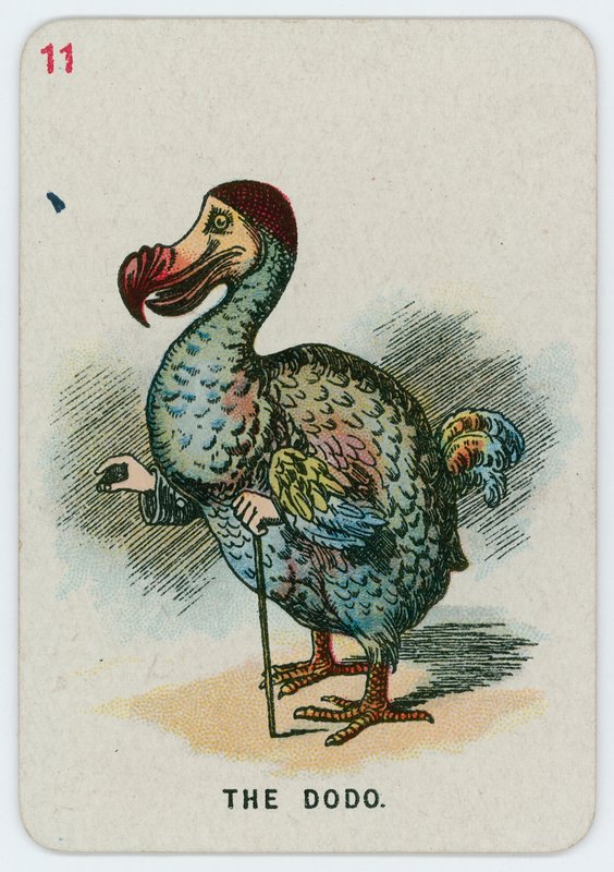 Der Dodo von John Tenniel