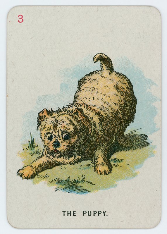 Der Welpe von John Tenniel