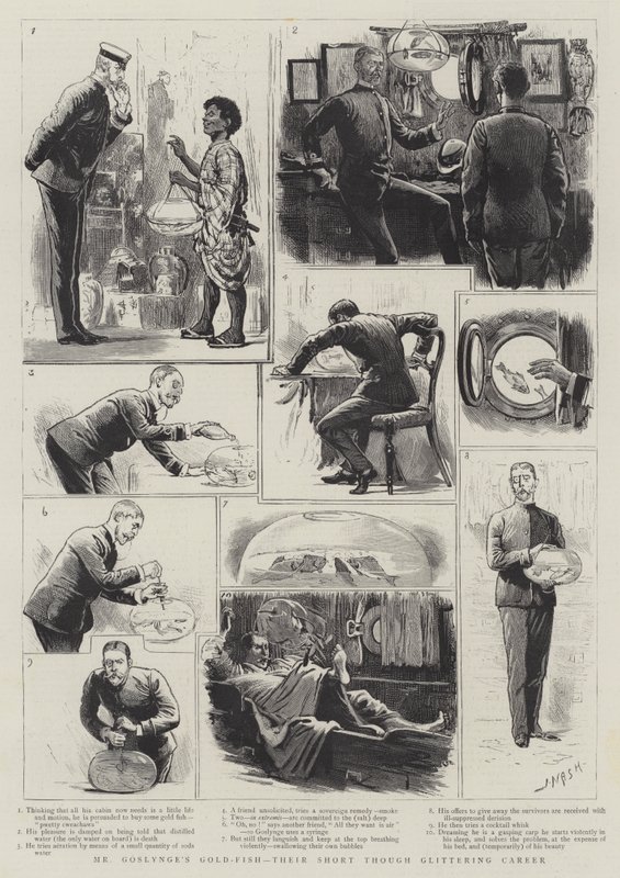 Mr. Goslynges Goldfische, ihre kurze glitzernde Karriere von Joseph Nash