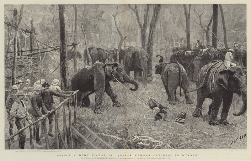 Prinz Albert Victor in Indien von Joseph Nash