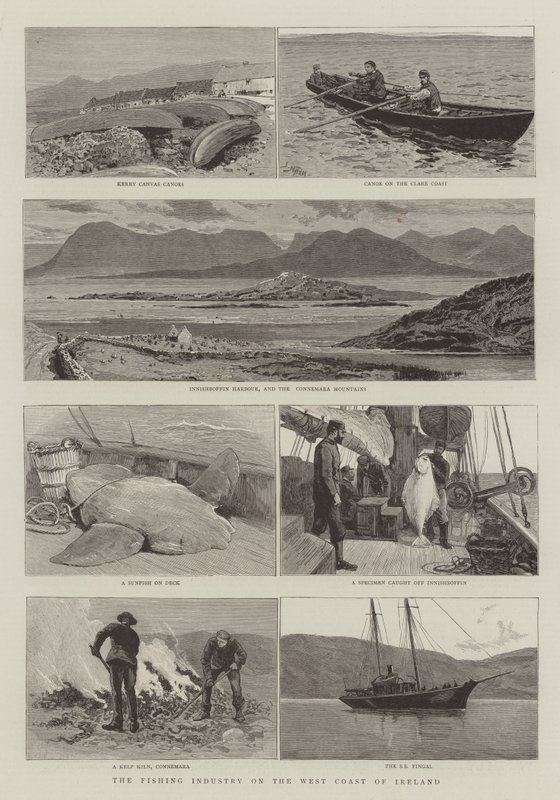 Die Fischereiindustrie an der Westküste Irlands von Joseph Nash