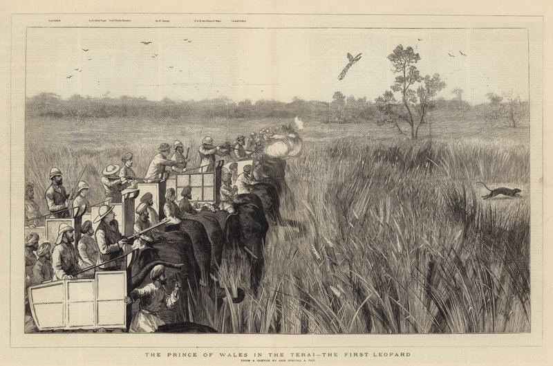 Der Prinz von Wales im Terai, der erste Leopard von Joseph Nash