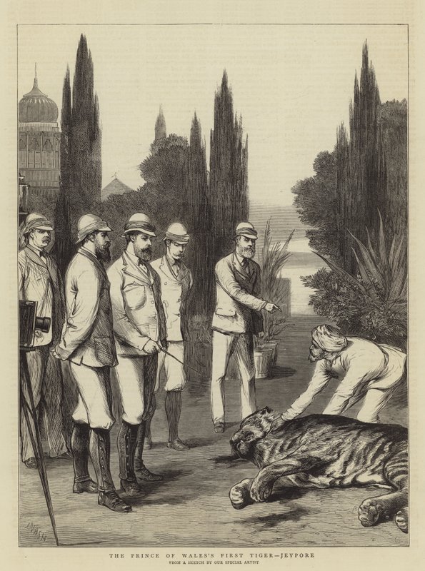 Der erste Tiger des Prinzen von Wales, Jeypore von Joseph Nash