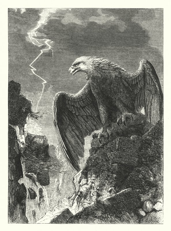 Unangewandte Weisheit von Joseph after Wolf