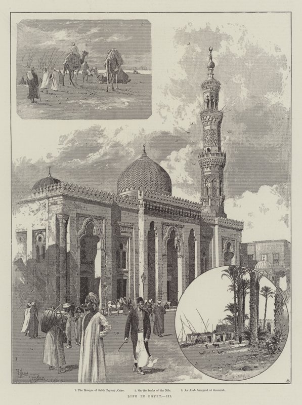 Leben in Ägypten von Joseph Holland Tringham