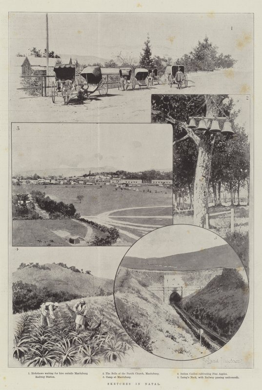 Skizzen in Natal von Joseph Holland Tringham
