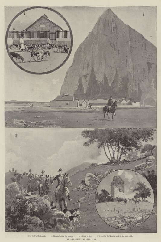 Die Calpe Jagd, in Gibraltar von Joseph Holland Tringham