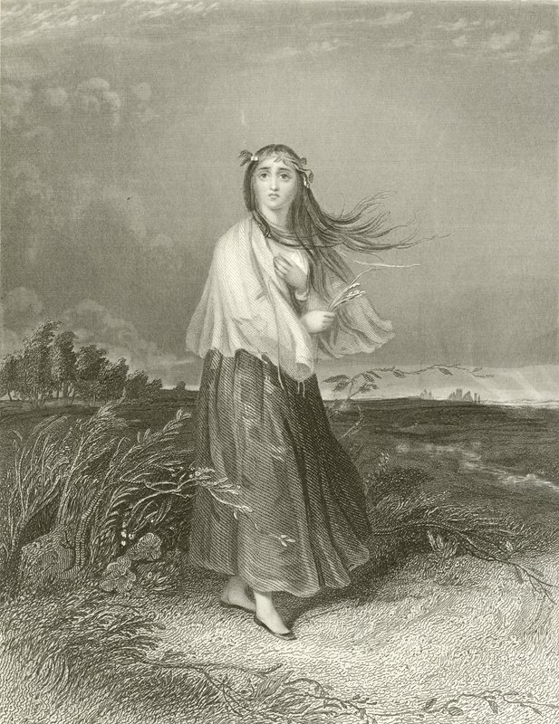 Kate ist verrückt von Joseph John Jenkins