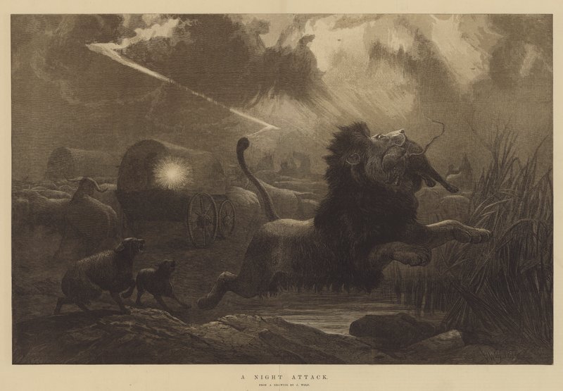 Ein nächtlicher Angriff von Joseph Wolf