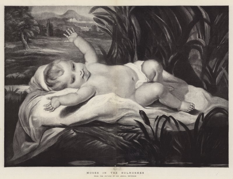 Moses im Schilf von Joshua Reynolds