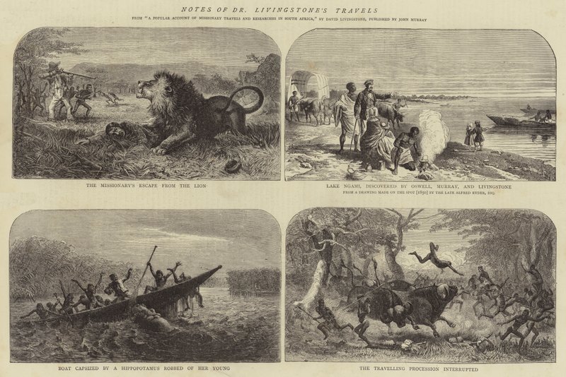 Notizen zu Dr. Livingstones Reisen von Josiah Wood Whymper
