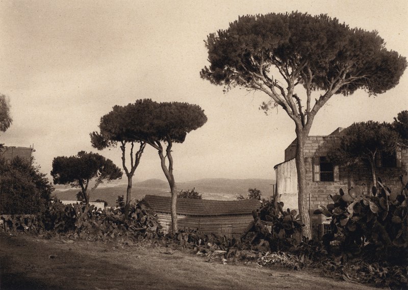 Libanon, Landschaft von Karl Grober