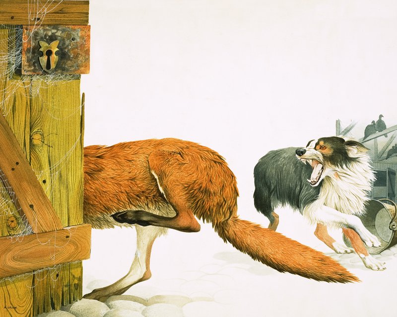 Ein Colliehund vertreibt einen Fuchs von Kenneth Lilly