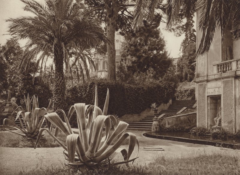 Rom: Im Vatikanischen Garten von Kurt Hielscher
