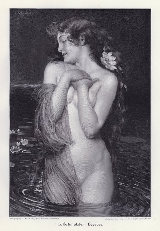 Seerose (Gravur) von Leopold Schmutzler