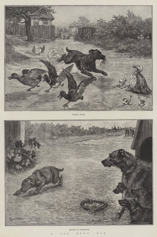 Ein trauriger Hundetag von Louis Wain