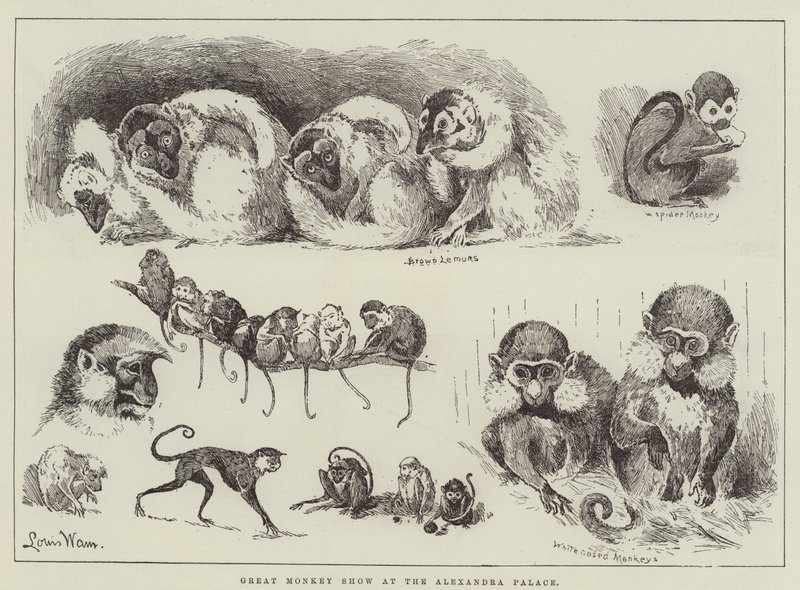 Große Affenshow im Alexandra Palace von Louis Wain