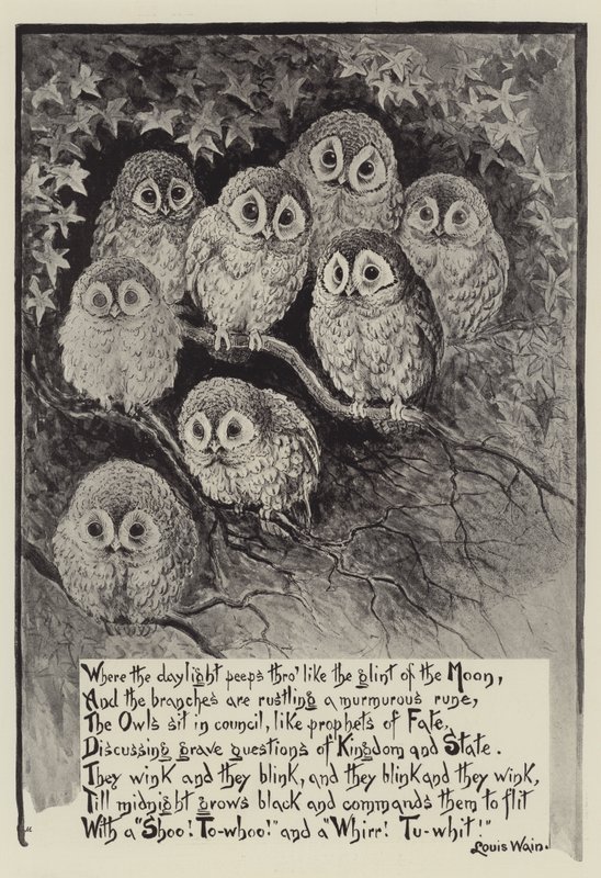 Louis Wains Eulen von Louis Wain