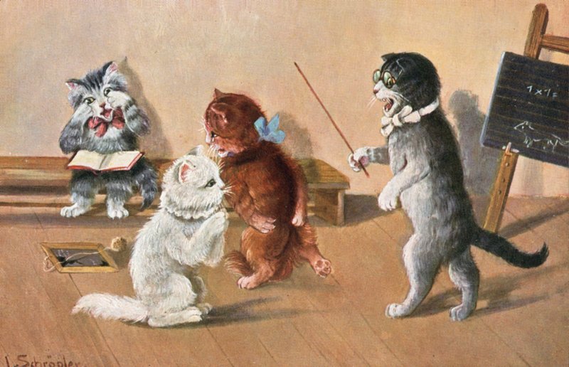 Humorvolle Katzenpostkarte von Luise Schropler